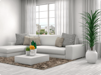 Discover our real estate company